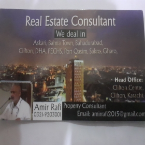 Real Estate Consultant Amir Rafi